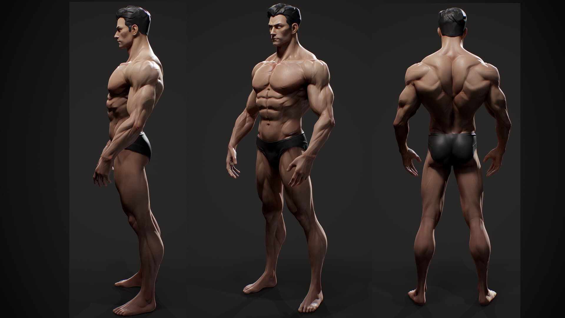 Detailed Stylized Male Anatomy Study